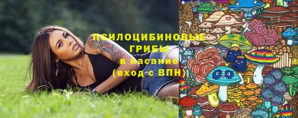 кокс Абаза
